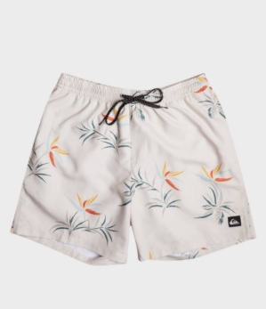 Quiksilver kopalke, ki so preživele več kot le valove